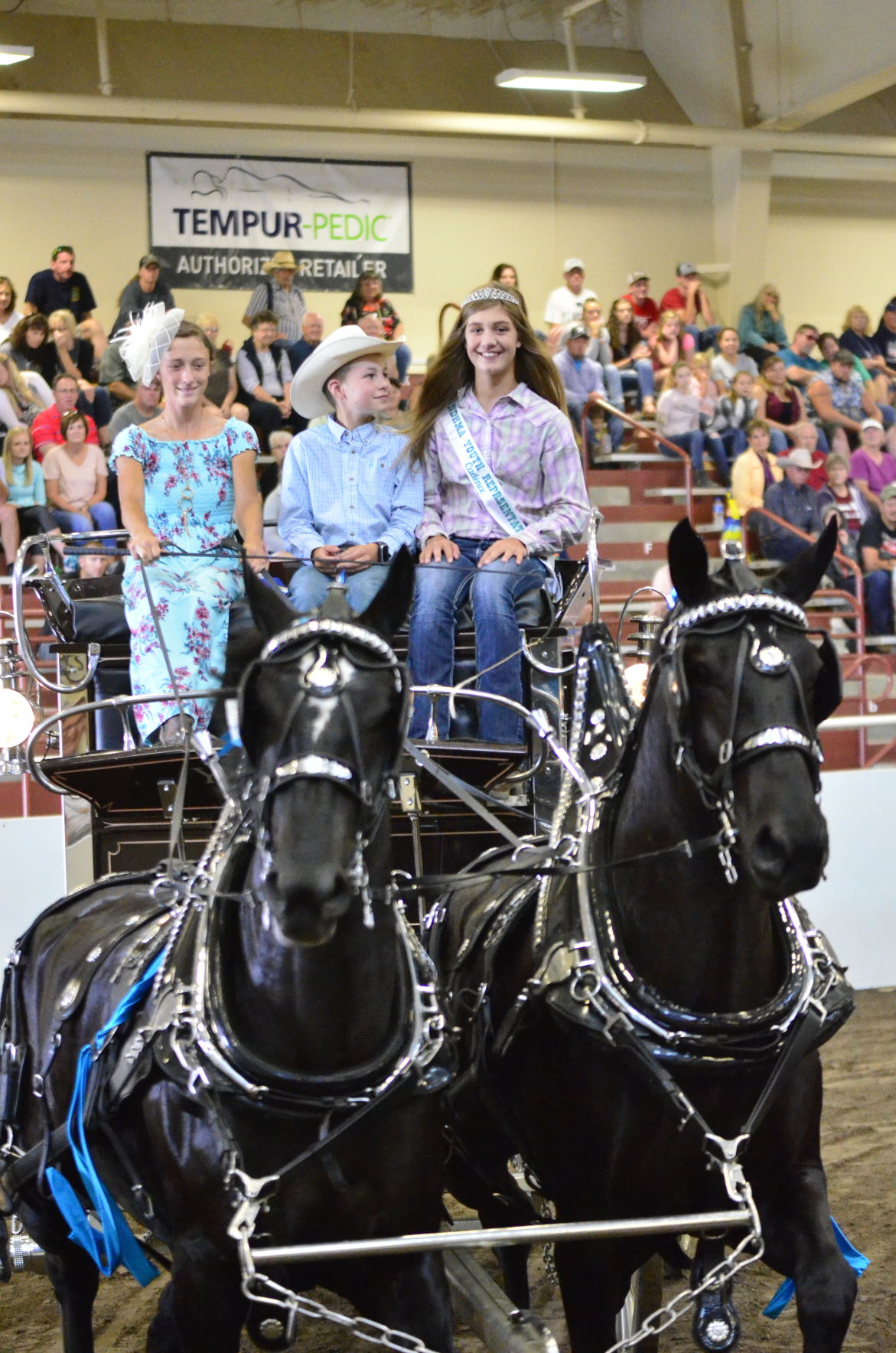 8-25-19 Draft Horse Hitch Final (71).JPG
